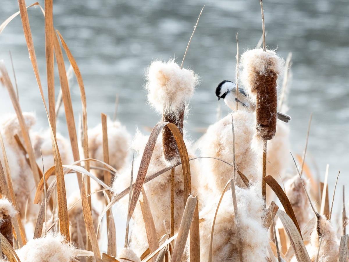 🎉Friday LinkFest – Continuing the topic of&nbsp;Evaluation!