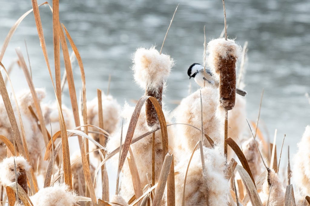 🎉Friday LinkFest – Continuing the topic of&nbsp;Evaluation!