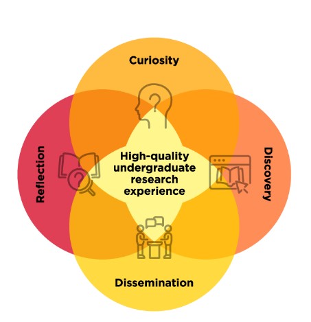 💡 Coaching Through CURE&nbsp;Design