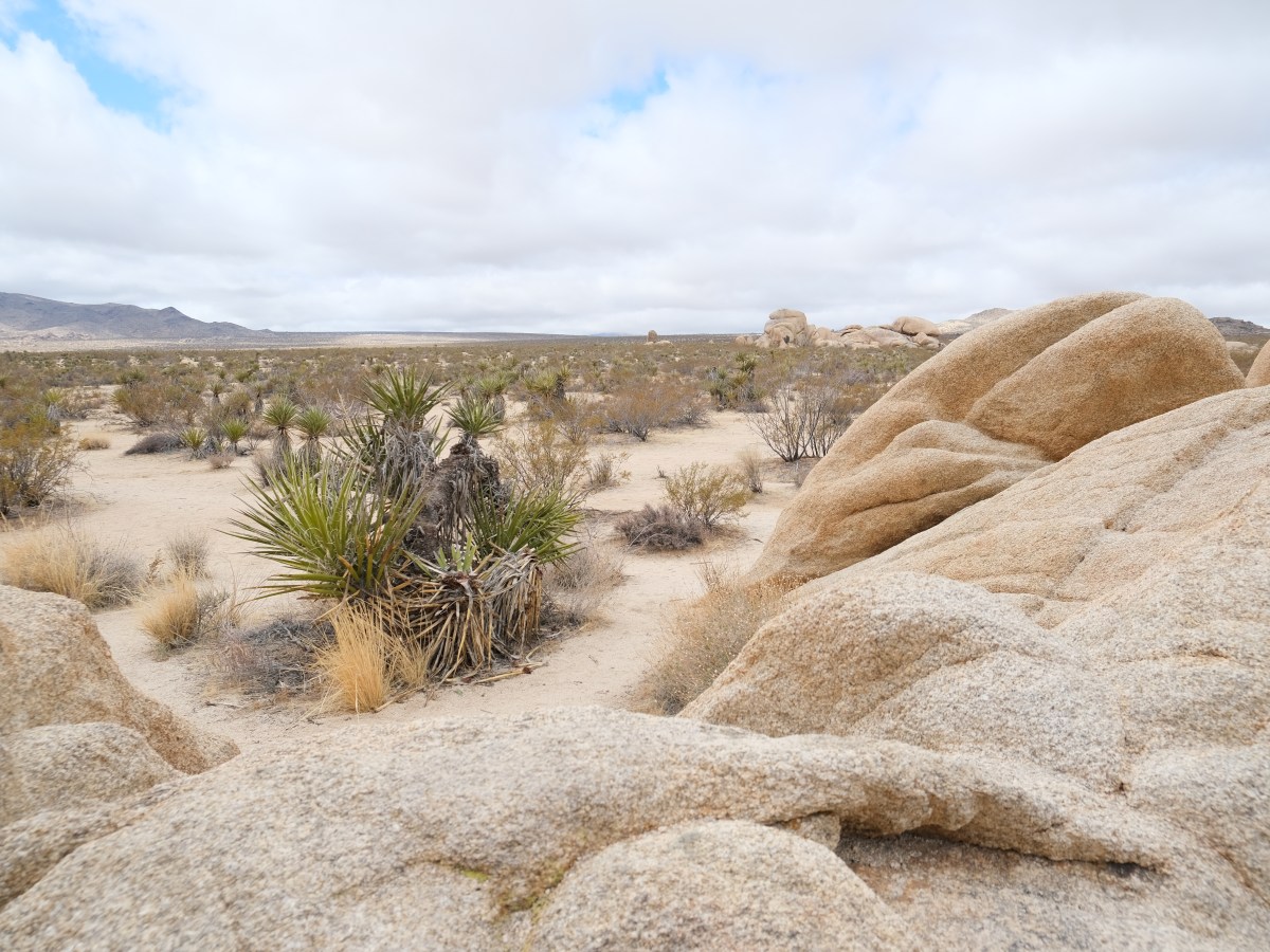 ✨The First Day of&nbsp;Class